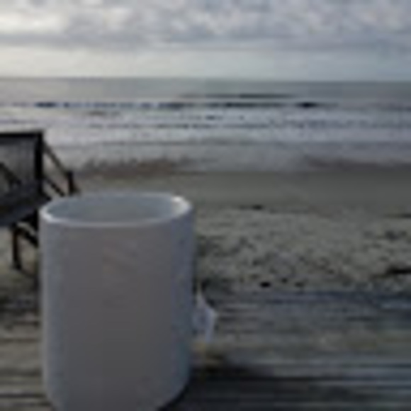 Meet your Posher, Sealicia - Picture 1 of 1